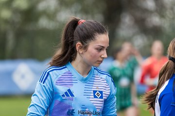Bild 207 - wBJ Hamburger SV - SV Werder Bremen : Ergebnis: 2:2